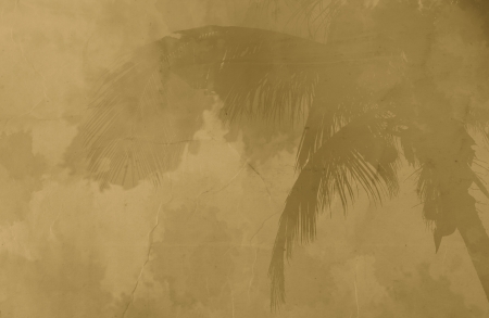 Coconut sepia  image on grungr paper background,vintage styleの写真素材