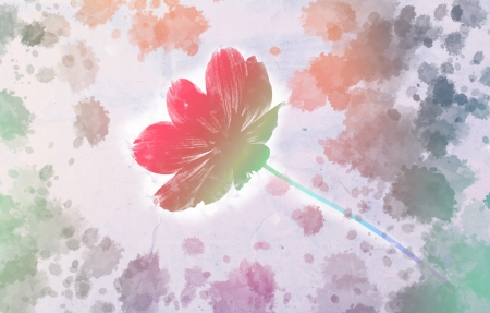 Cosmos flower with watercolor splash on grunge paper bの写真素材
