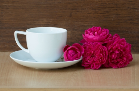 Still life pink rose in white coffee cup for decorationの写真素材