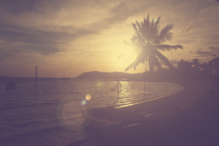 Palm tree and  seascape at sunset with vintage filter effectの写真素材