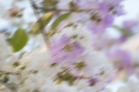 Motion striped colorful flower blurred abstract backgroundの写真素材