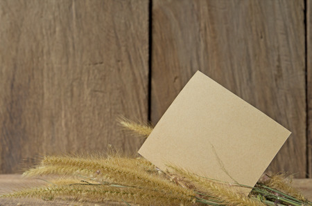 Still life flower foxtail weed and paper pad in golden light on wooden background の写真素材