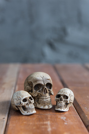 Skull on wood floor with grunge backgroundの写真素材