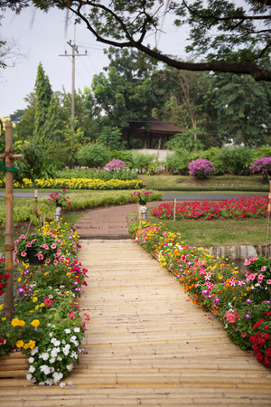 Beautiful flower garden with bamboo pathの写真素材