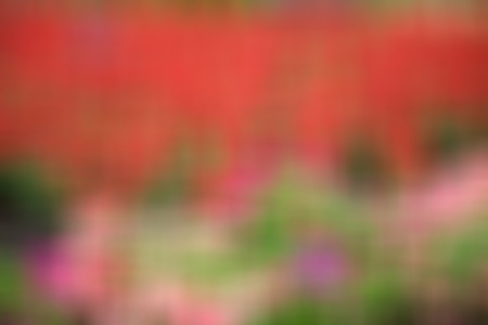 Abstract defocused  blurred backgroundの写真素材