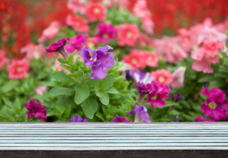 Flower garden and vintage wood plankの写真素材