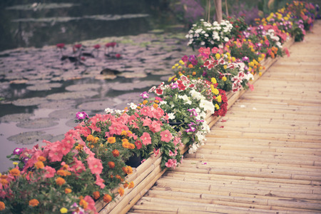 Beautiful flower garden with bamboo pathの写真素材