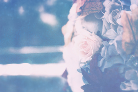 Vintage rose flower bouquet soft background in winter seasonの写真素材