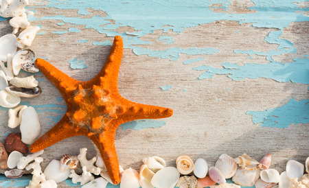 Starfish and sea shells on grunge wood backgroundの写真素材