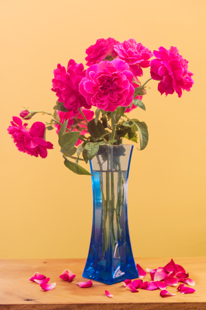 Pink roses flower with blue vase on wooden table topの写真素材