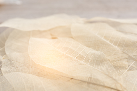 Dry leaf pattern on wood backgroundの写真素材