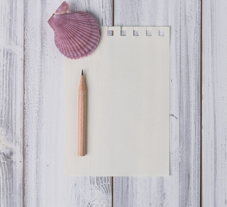 Flat lay design scallop,paper and pencil on vintage white wooden background,top viewの写真素材