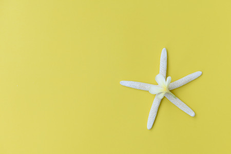 Flat lay star fish and Frangipani flower on yellow background,top viewの写真素材