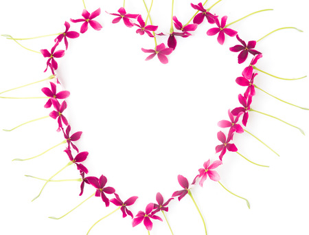 Flat lay Rangoon creeper or Quisqualis indica flower in heart shape on white backgroundの写真素材