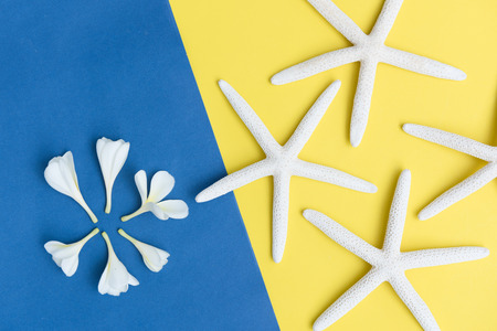 Flat lay beautiful Frangipani flowers and star fish on yellow,blue  background