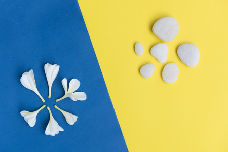 Flat lay beautiful Frangipani flowers and white stones frame on yellow,blue background