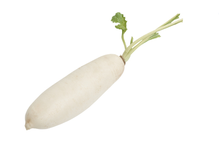 Fresh white japanese radish isolated on white backgroundの写真素材