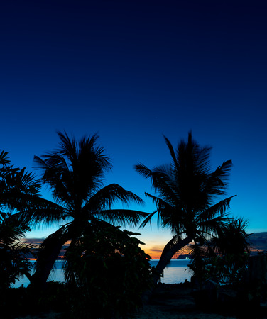 Silhouette coconut palm trees over blue sea sky background at duskの写真素材