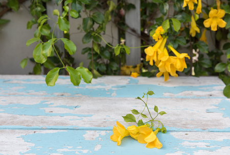 Vintage wooden tabletop with beautiful yellow flowers and green leaves background
