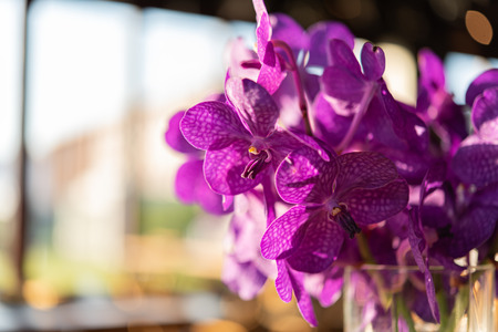 Beautiful violet orchids vase on wood table in restautant