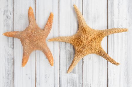 Big starfishs on white wood table top background,top viewの写真素材