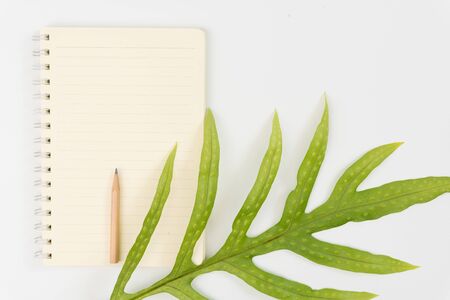 Blank notebook,pencil and Wart fern leaf on white backgroundの写真素材
