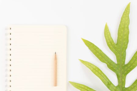 Blank notebook,pencil and Wart fern leaf on white backgroundの写真素材