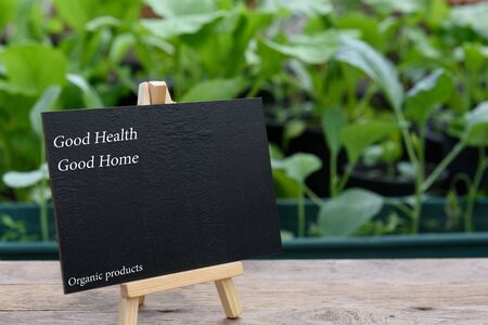 Black board on wooden plank  for advertistment  organic vegtable plant proucts,health food and livingの写真素材