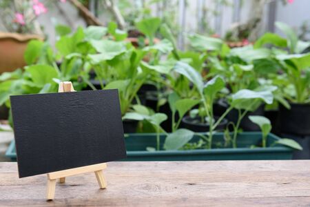 Blank black board on wooden plank  for advertistment  organic vegtable plant proucts,health food and livingの写真素材