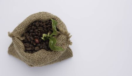 Coffee beans,coffee flower and green leaves in hemp sack bag isolated on white background,top viewの写真素材