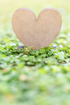 Wooden heart icon on fresh green grass background in morning sun lightの写真素材