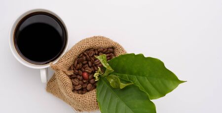Coffee cup and roasted coffee beans and cherry with flower and green leaf in sack bag  on white background ,top viewの写真素材