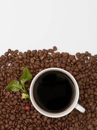 Coffee cup and roasted coffee beans and cherry with flower and green leaf  on white background ,top viewの写真素材