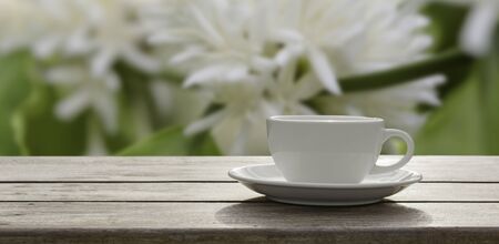 Coffee  cup on wooden plank table tree  with white color flower  blossom and green leaves in garden backgroundの写真素材