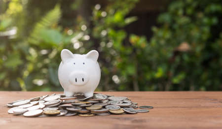 Piggy bank and money coins pile on wood table with nature backgroundの写真素材