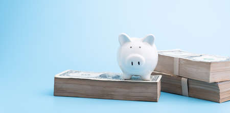 Piggy bank and stack of dollar banknotes on blue background,saving and investment conceptの写真素材