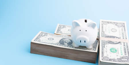 Piggy bank and stack of dollar banknotes on blue background,saving and investment conceptの写真素材