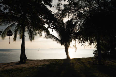 Silhouette coconut palm trees over blue sea sky background at duskの写真素材