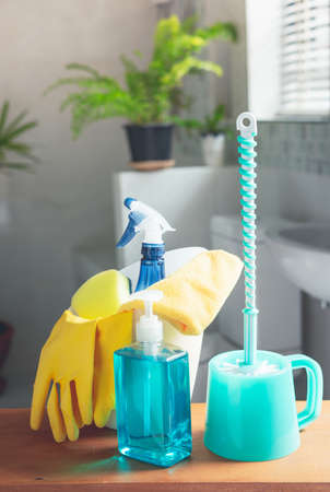 Basket of cleaning supplies on toilet bowl in modern bathroom with fresh green fern in roomの写真素材