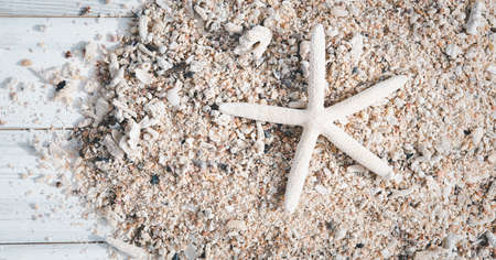 Star fish,reef and sea shell on white wood,summer backgroundの写真素材
