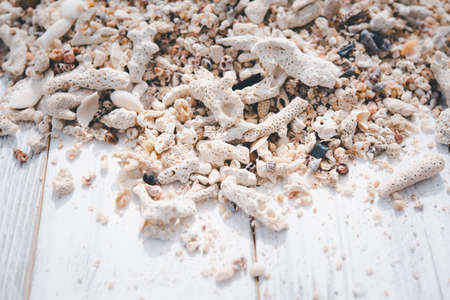 Summer background,reef and sea shell on white wood tableの写真素材
