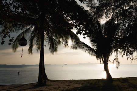 Silhouette coconut palm trees over blue sea sky background at duskの写真素材