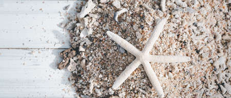 Star fish,reef and sea shell on white wood,summer backgroundの写真素材