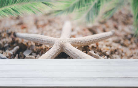 White wooden top with blur beach,star fish and  palm leaves background,summer conceptsの写真素材