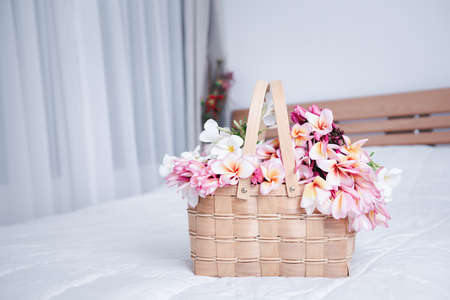Beautiful frangipani or plumeria flowers in bamboo wooden basket  on modern white bedroom,welcome flowerの写真素材