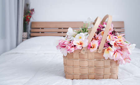 Beautiful frangipani or plumeria flowers in bamboo wooden basket  on modern white bedroom,welcome flowerの写真素材
