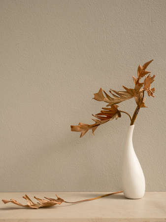Dry leaves Philodendron xanadu botanical tropical house plant in beautiful white ceramic vase on earth tone  table and cement  wall background vertical front viewの写真素材
