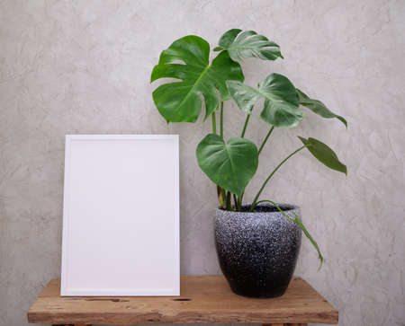 Mock up poster wooden frame  and Monstera giant botanical tropical house plant in beautiful concrete pot set on wood table in modern living room stylish with loft cement  wallの写真素材