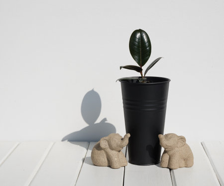 Fiddle leaf Fig minimal stylish houseplant in modern black tall pot and small elephant statue on white wood table and wall background with long shadow,Ficus Lyrata black leaf.の写真素材