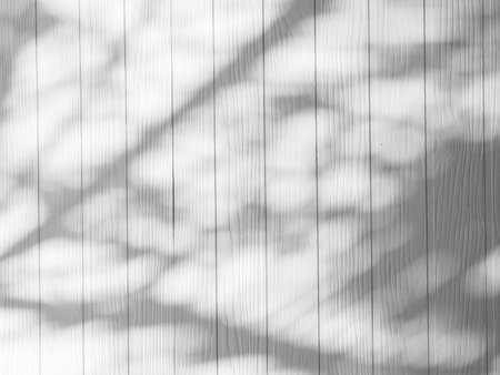 Abstract nature of leaves shadows and  wood background  reflect over white walls,can place your mock...